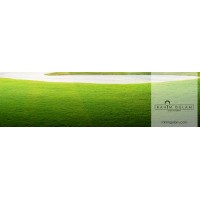 Rahim Gulam Golf Academy Logo