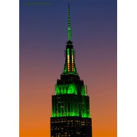 Irish American Building Society Logo