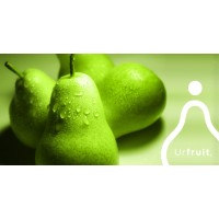 Urfruit B.V. Logo