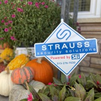 Strauss Security Solutions Logo