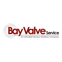 Bay Valve Service & Engineering LLC Logo