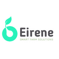 Eirene Solutions Logo
