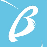 BLUEFIRE S.A. Logo