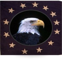 Eagle Development, LLC Logo