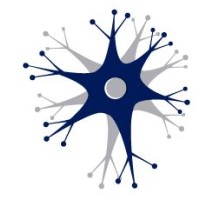 NoesIsT - Consultoría e Infraestructura Logo