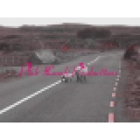 Pink Lamb Productions Logo