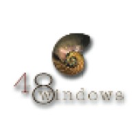 48 Windows Logo