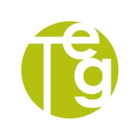 The Energy Group Co, Inc Logo
