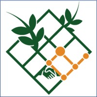 Open Trellis Logo