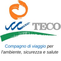 TECO S.r.l. Logo