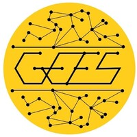 Grêmio dos Estudantes de Engenharia de Sistemas Professor Oriane Magela Neto Logo