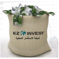 ezinvest Logo