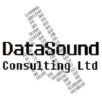 DataSound Consulting Ltd Logo