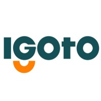 Zhejiang Igoto Electric Co., Ltd. Logo