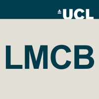 Laboratory for Molecular Cell Biology, UCL Logo