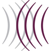 De Hosson Consultancy Logo
