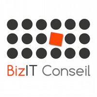 BizIT Conseil Logo