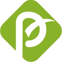 Pragma Softwares Logo