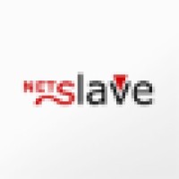 NetSlave GmbH Logo