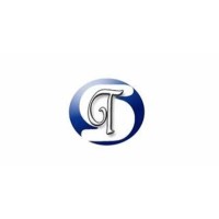 THEME SECURITIES Logo