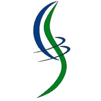 Five Forces Consulting Logo