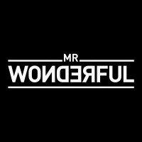 MR WONDERFUL Logo