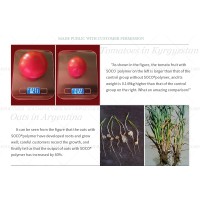 QINGDAO SOCO NEW MATERIAL CO.,LTD Logo