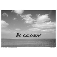 Be Excellent LLC Logo