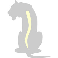 Ridgeback Partners Logo