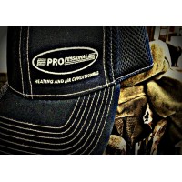 Professional Heating and Air Conditioning Logo