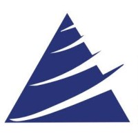N.E. Systems LLC Logo