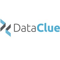 DataClue s.r.o. Logo