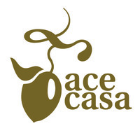 Acecasa S.L. Logo