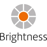 Brightness Executive Search Logo