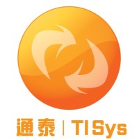 TI Systems Limited Logo