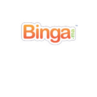 Binga | Payment Solutions for the 21st Century Logo