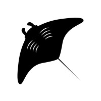 Flying Manta Logo