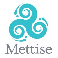 The Mettise Group Logo