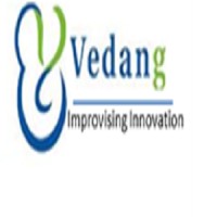 VedangSoft Pvt. Ltd. Logo