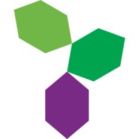 The National Agency for Public Procurement Logo