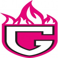 Guardian Insulation Solutions Logo