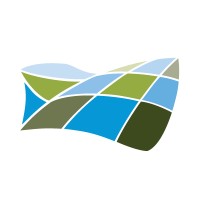 Olivetree Group Logo