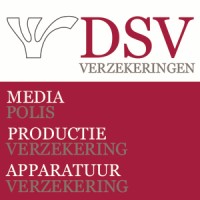 DSV Verzekeringen Logo