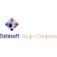 Datasoft Solutions (Pvt.) Ltd. Logo