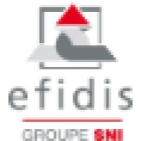 EFIDIS Logo
