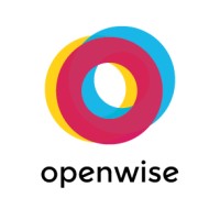 OpenWise Solutions Logo