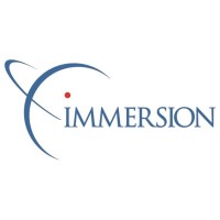 Immersion Consulting Logo