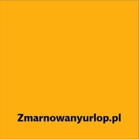 Zmarnowanyurlop.pl Logo