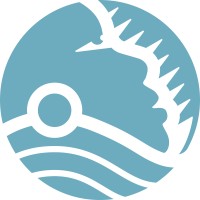 Driftseed Logo