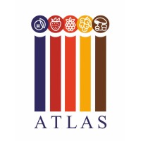 Atlas Export LLC Logo